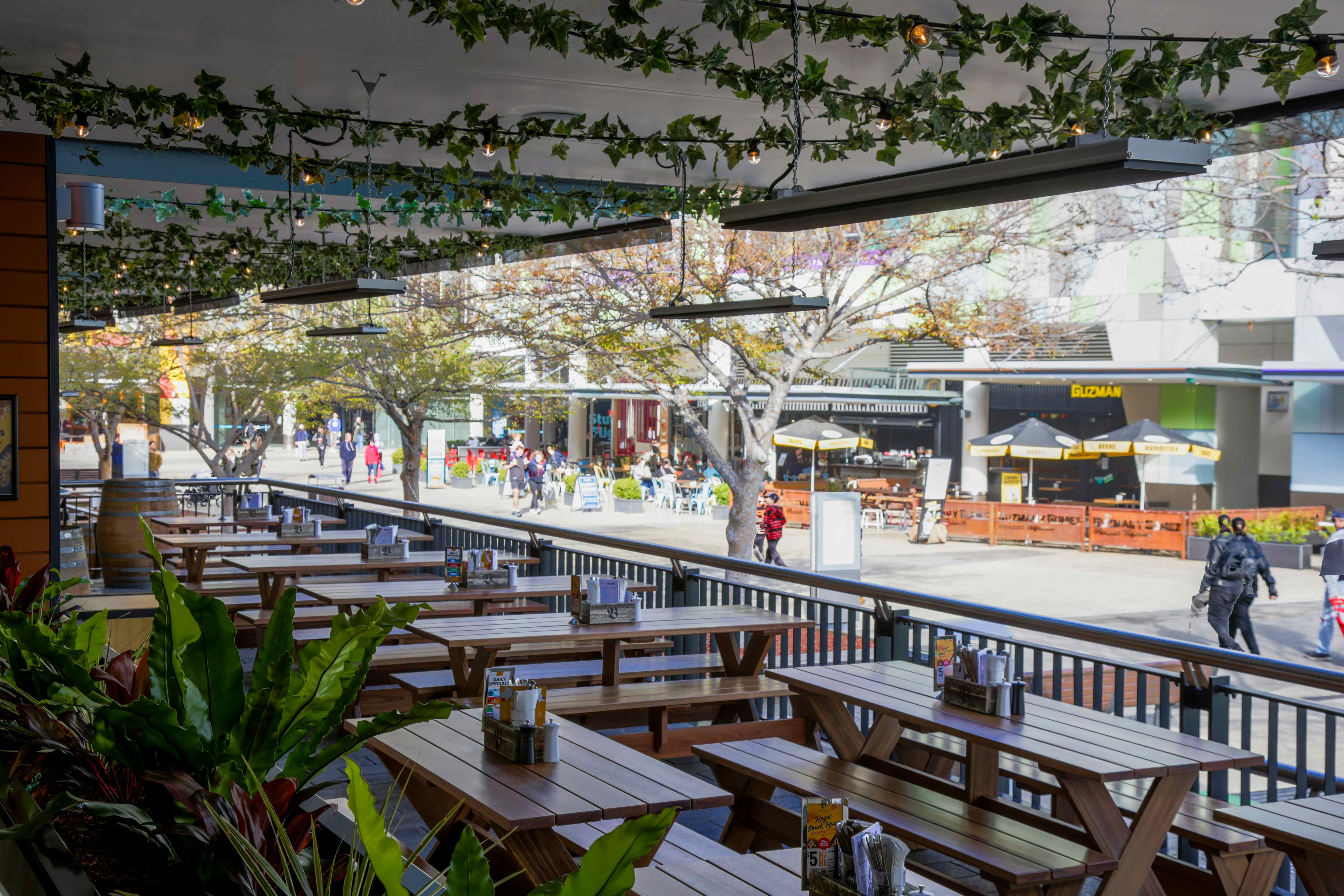 The Bavarian, Macarthur